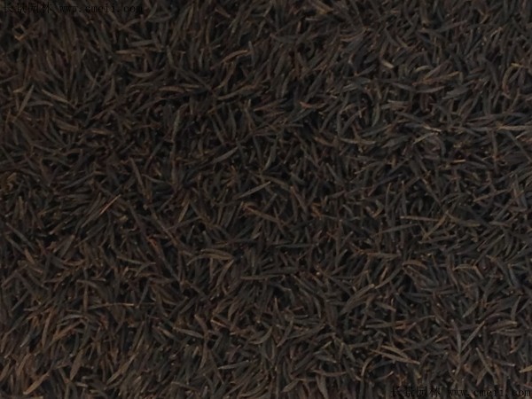 格桑花種子圖片