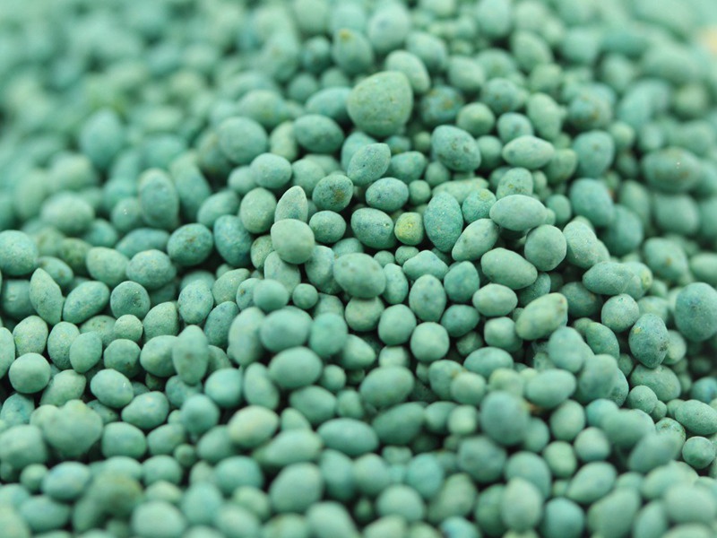 包衣脫殼狗牙根種子 包衣脫殼狗牙根種子